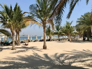 Пляж The Palm Hotel & Suites